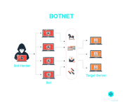What is a botnet
